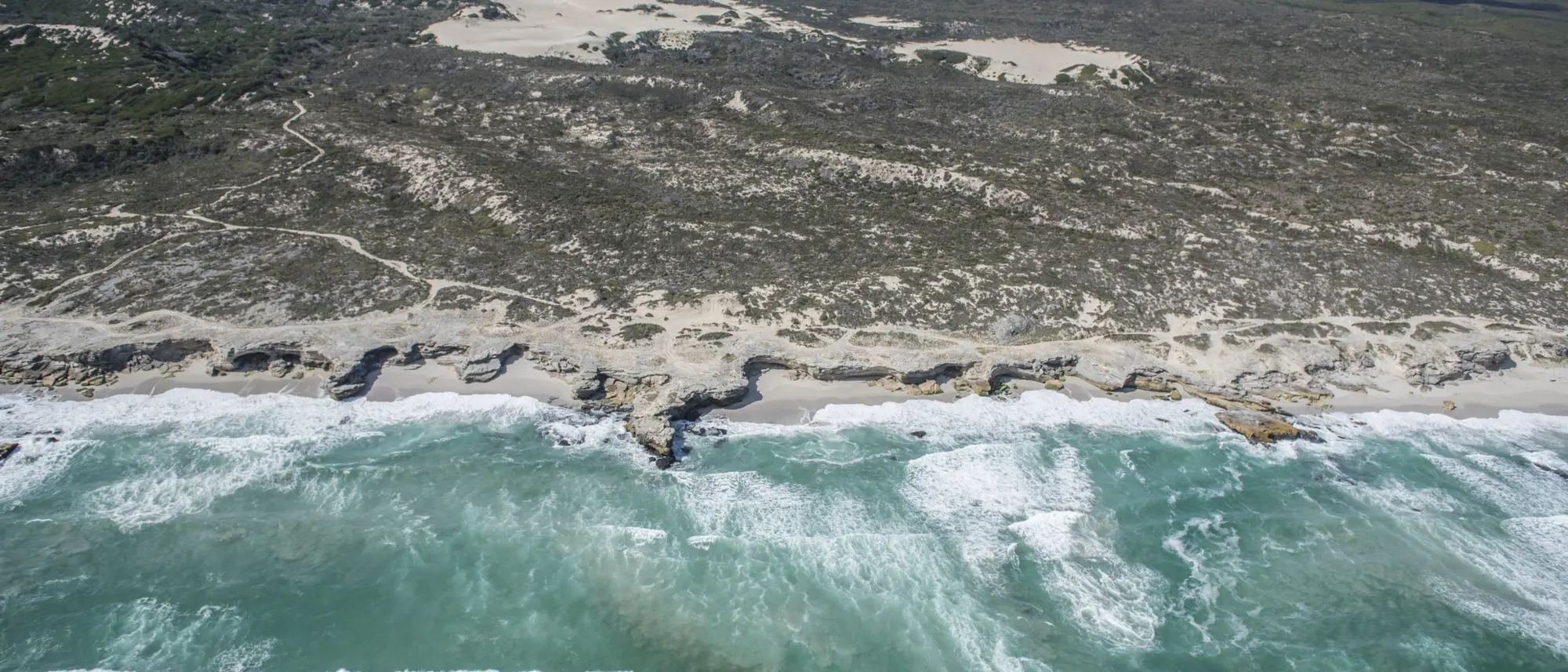 Image Title Image Title