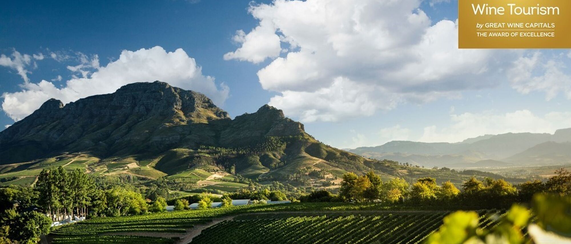 Image Title Image Title