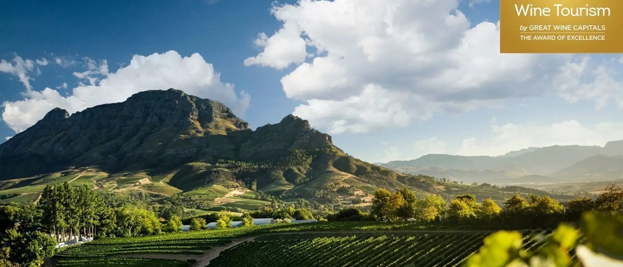 Image Title Image Title