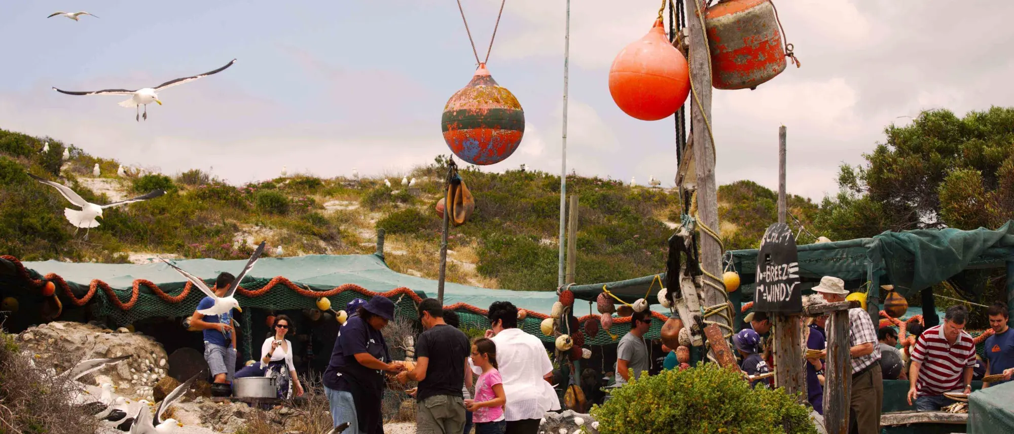 Image Title Image Title