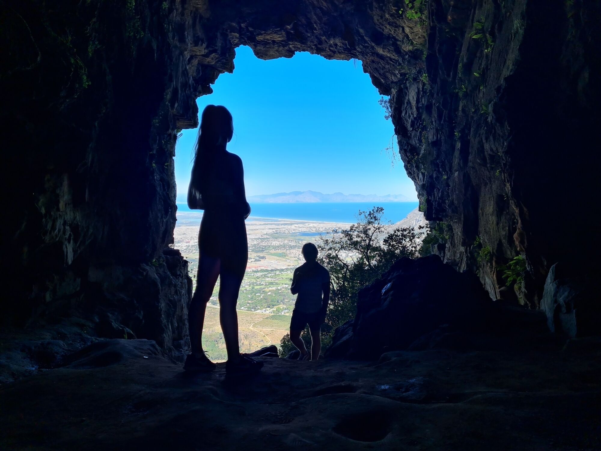 Elephants Eye Elephants Eye