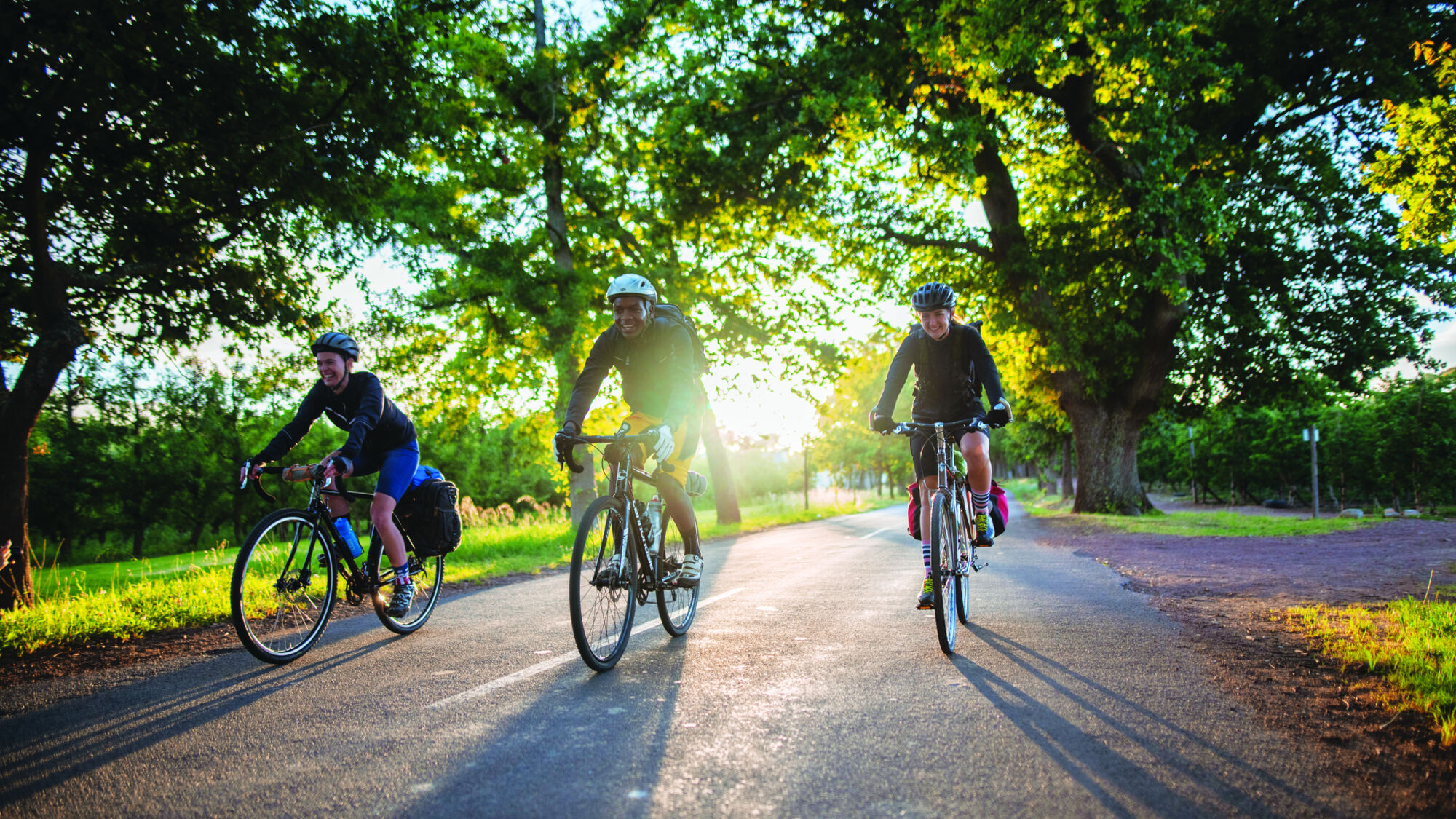 Image Title Image Title