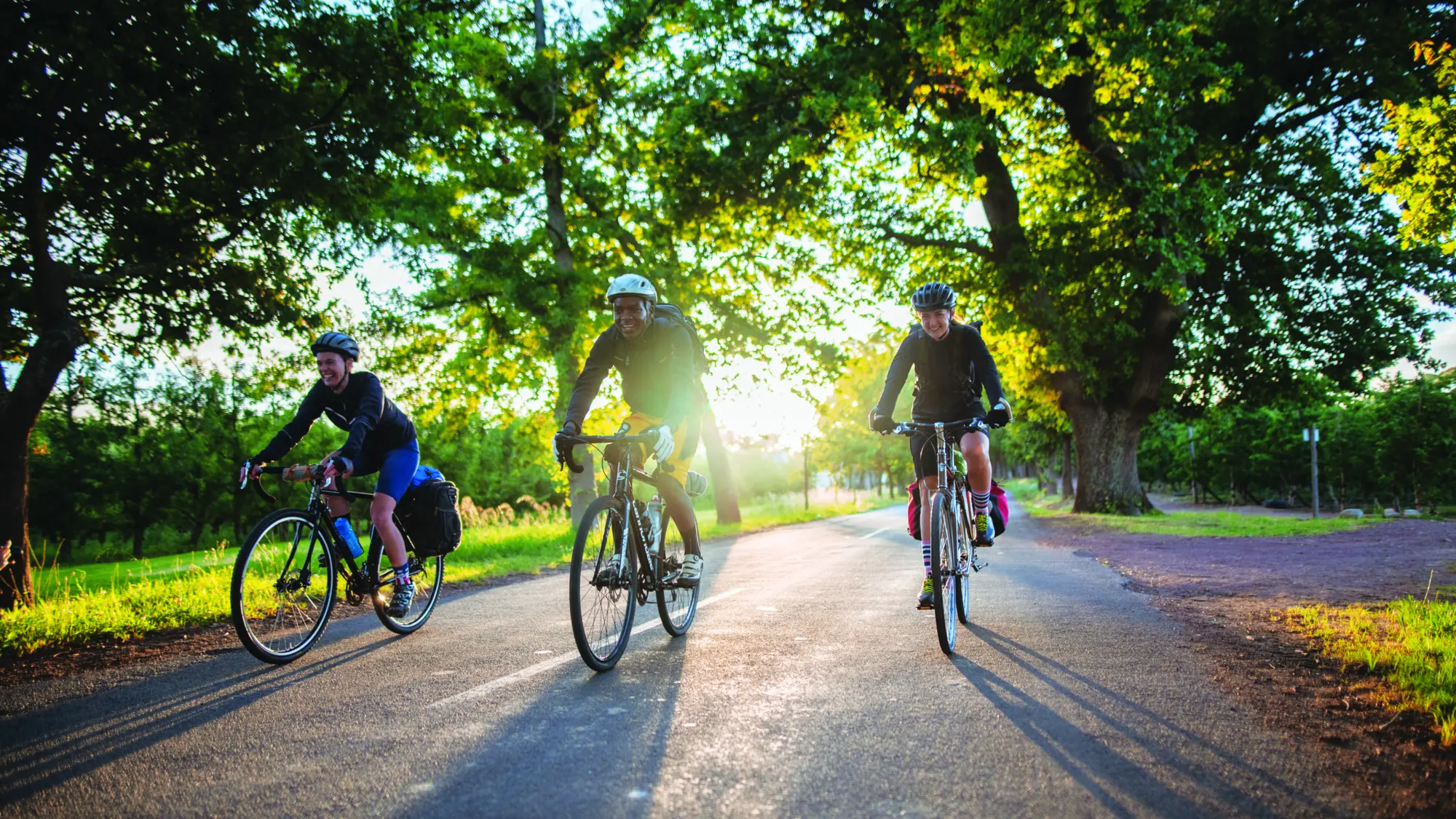 Image Title Image Title