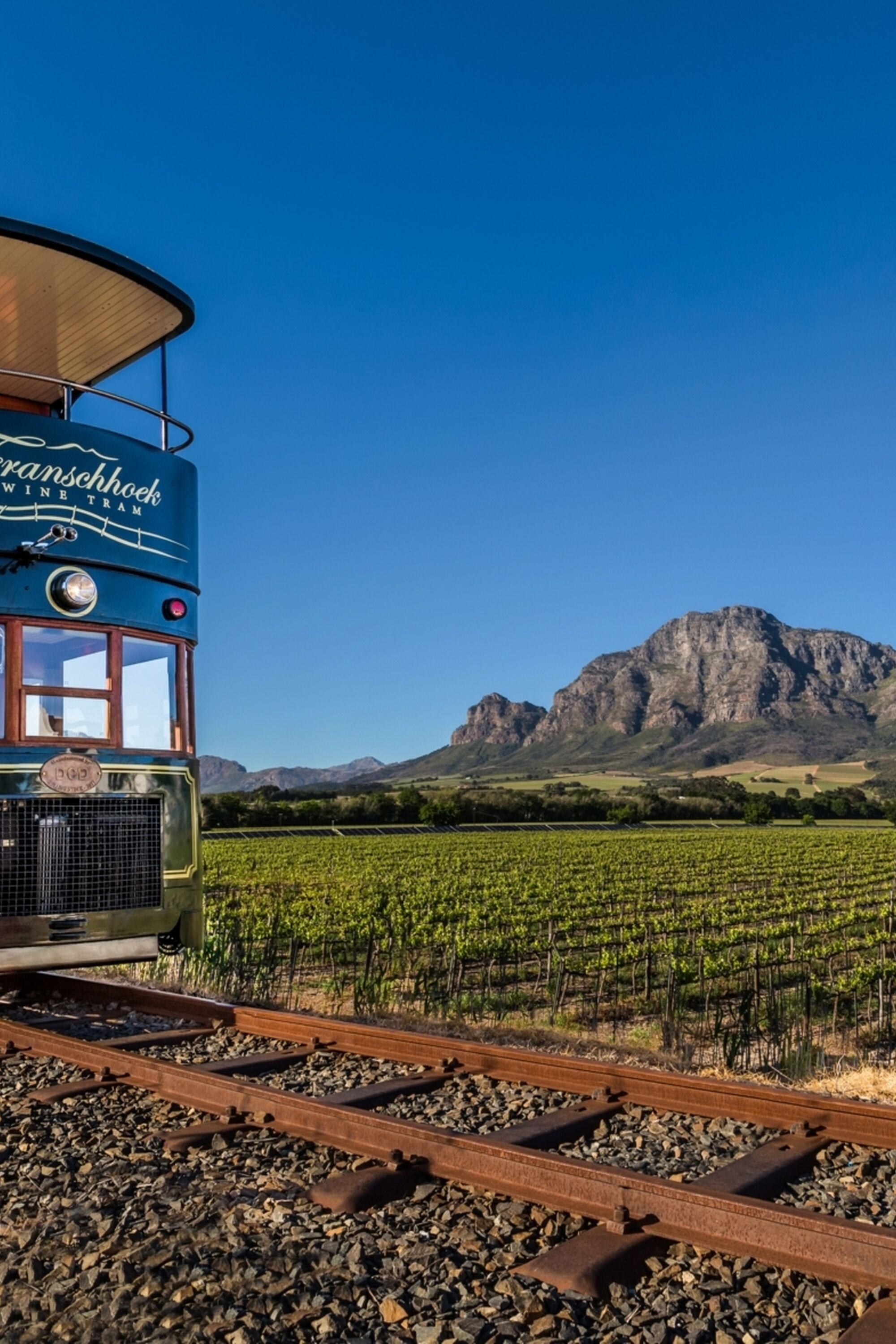 Image Title Image Title