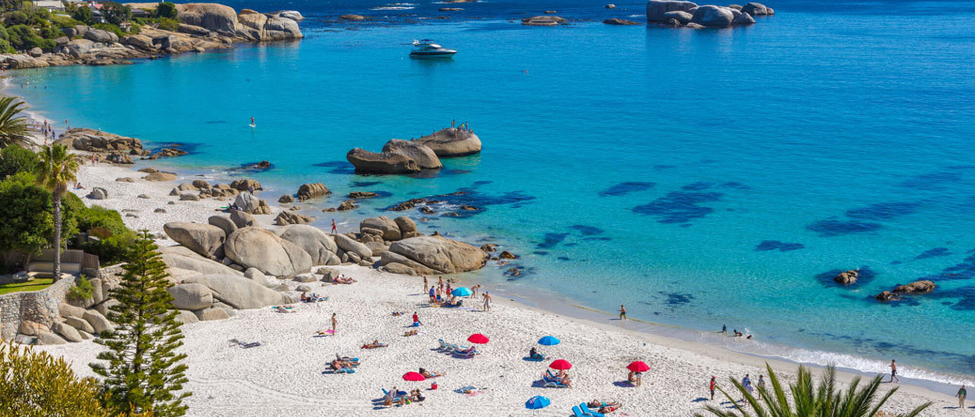 Image Title Image Title