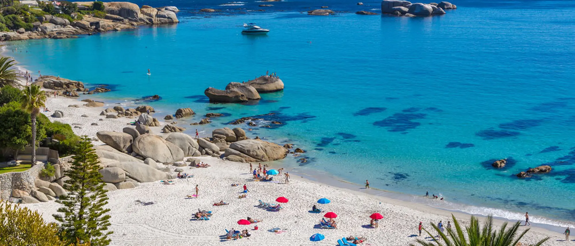 Image Title Image Title