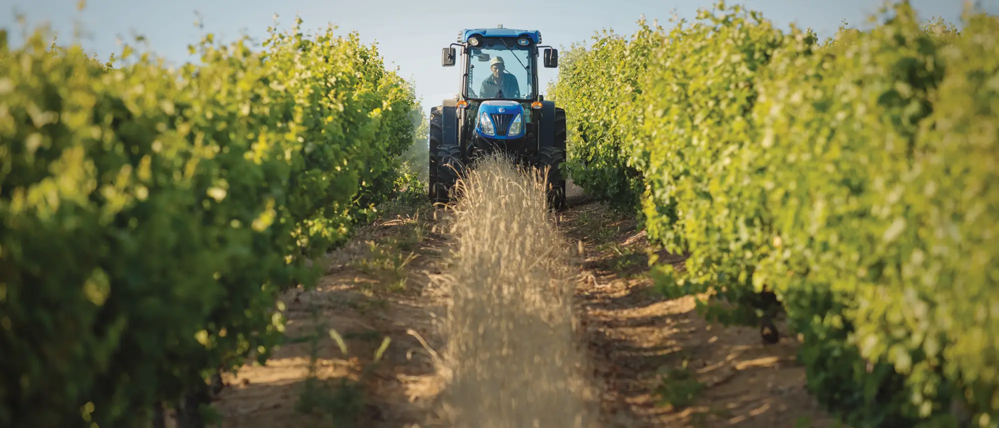 Image Title Image Title