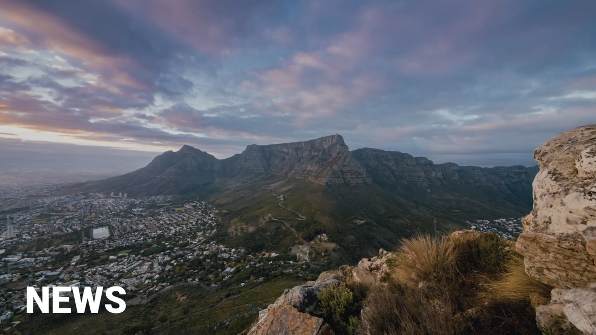 Image Title Image Title