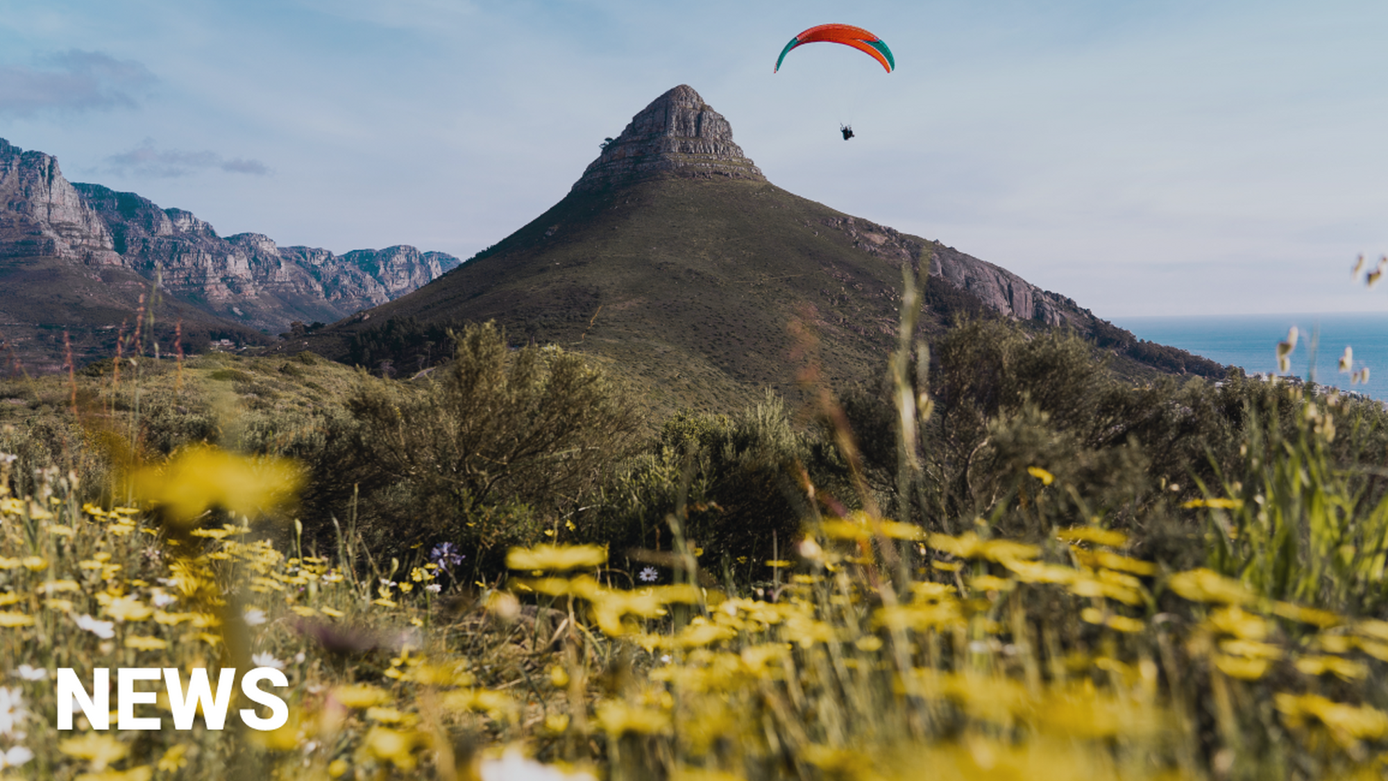 Image Title Image Title