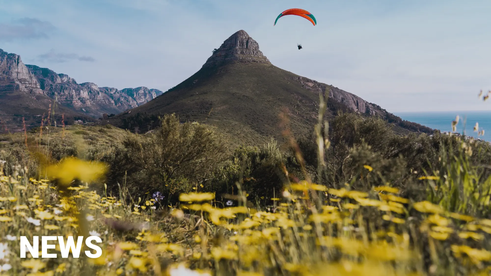 Image Title Image Title