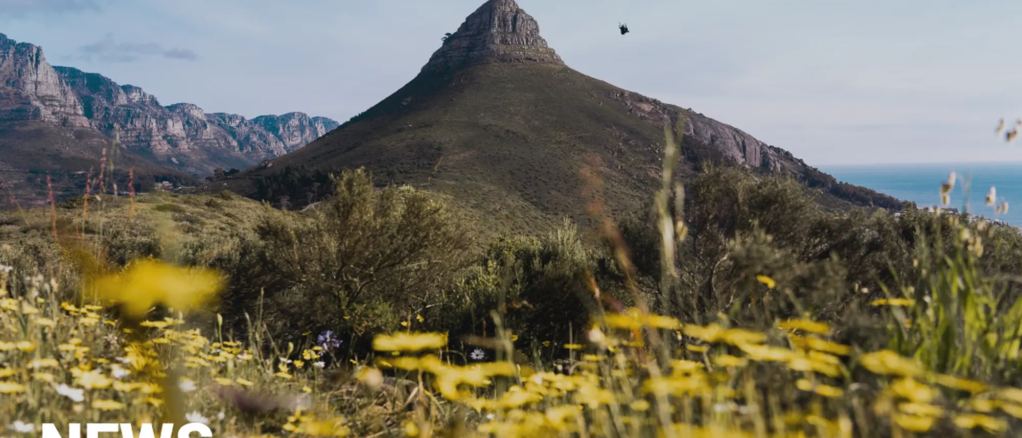 Image Title Image Title