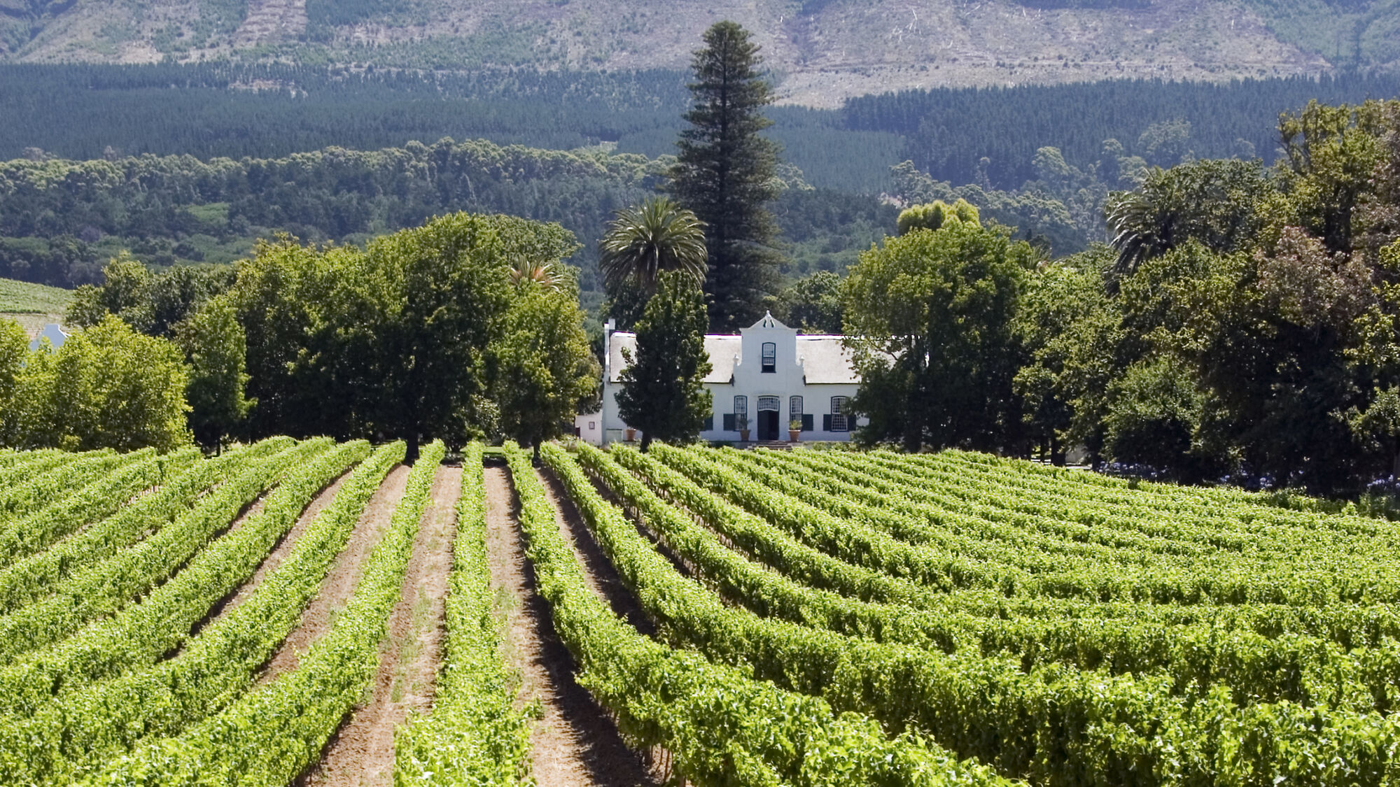 Image Title Image Title