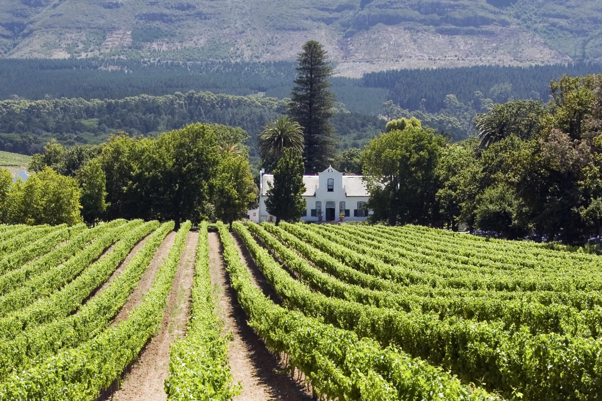 Image Title Image Title