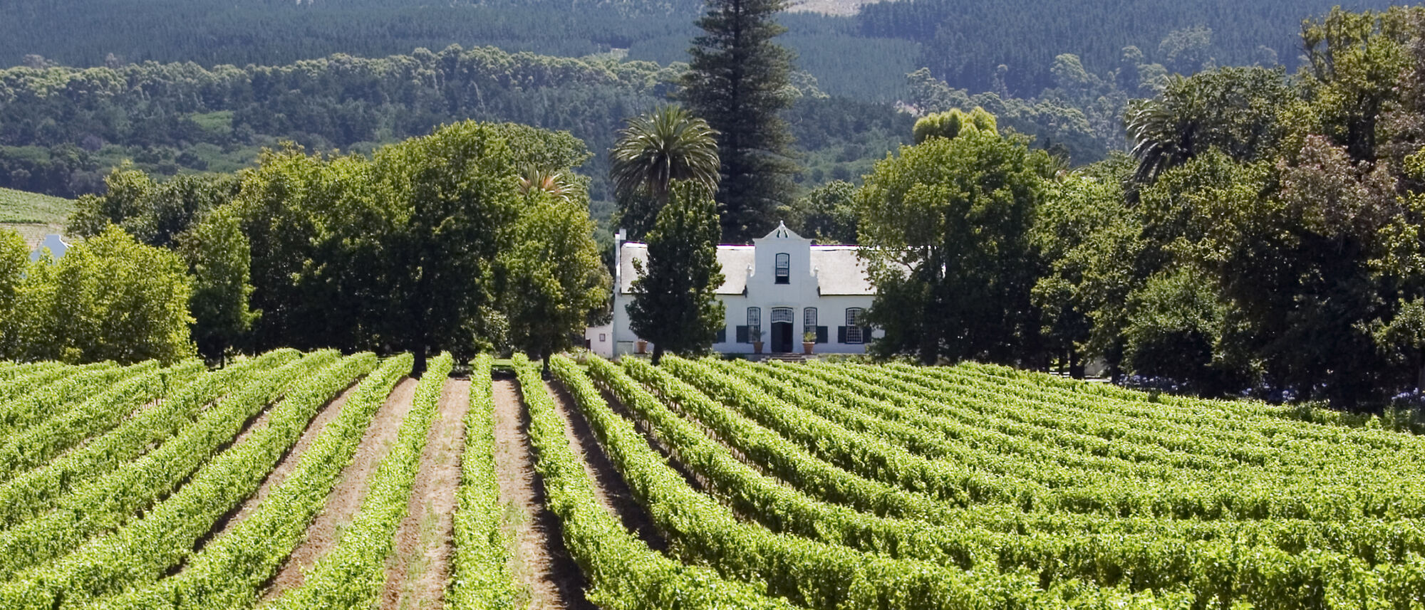 Image Title Image Title