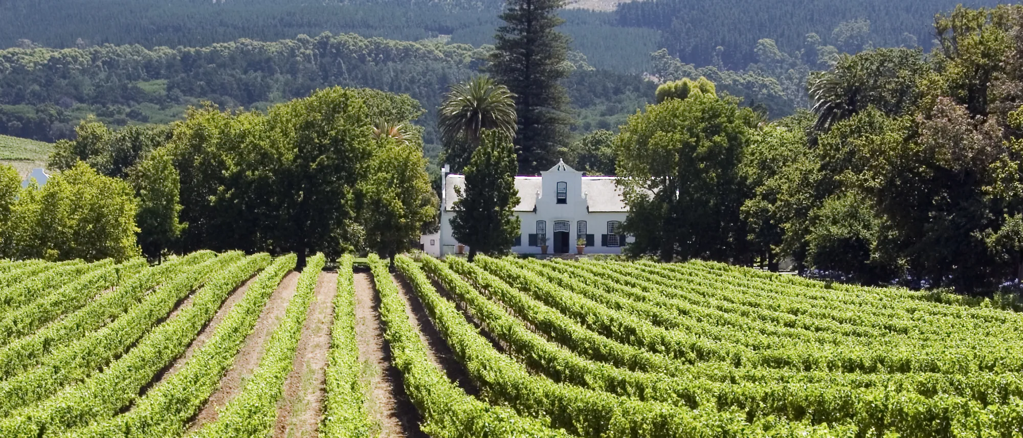 Image Title Image Title