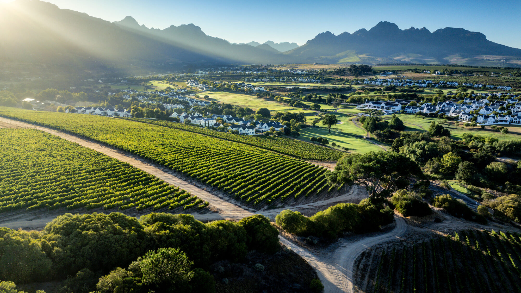 Image Title Image Title