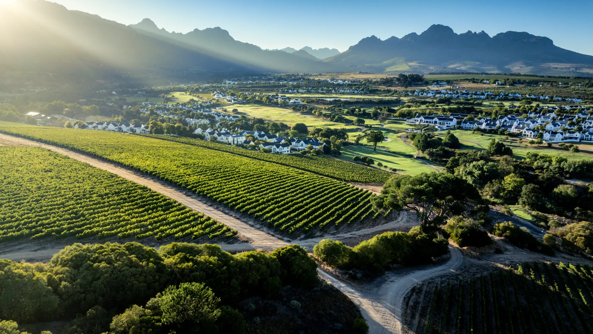 Image Title Image Title