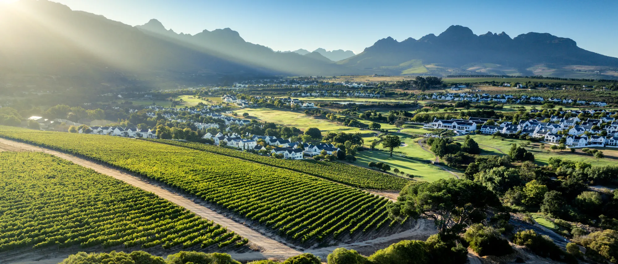 The Cape Winelands The Cape Winelands