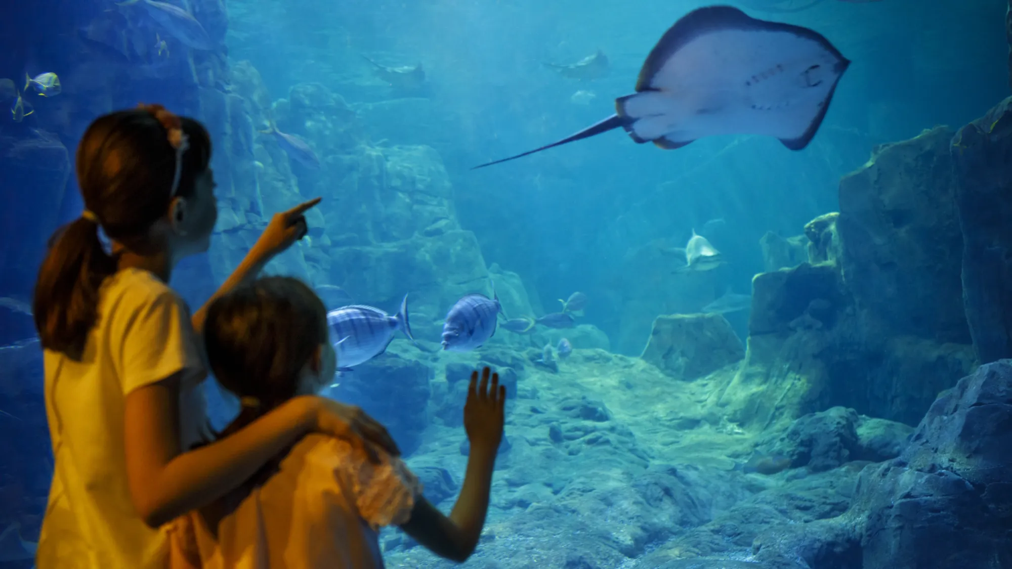 Image Title Image Title