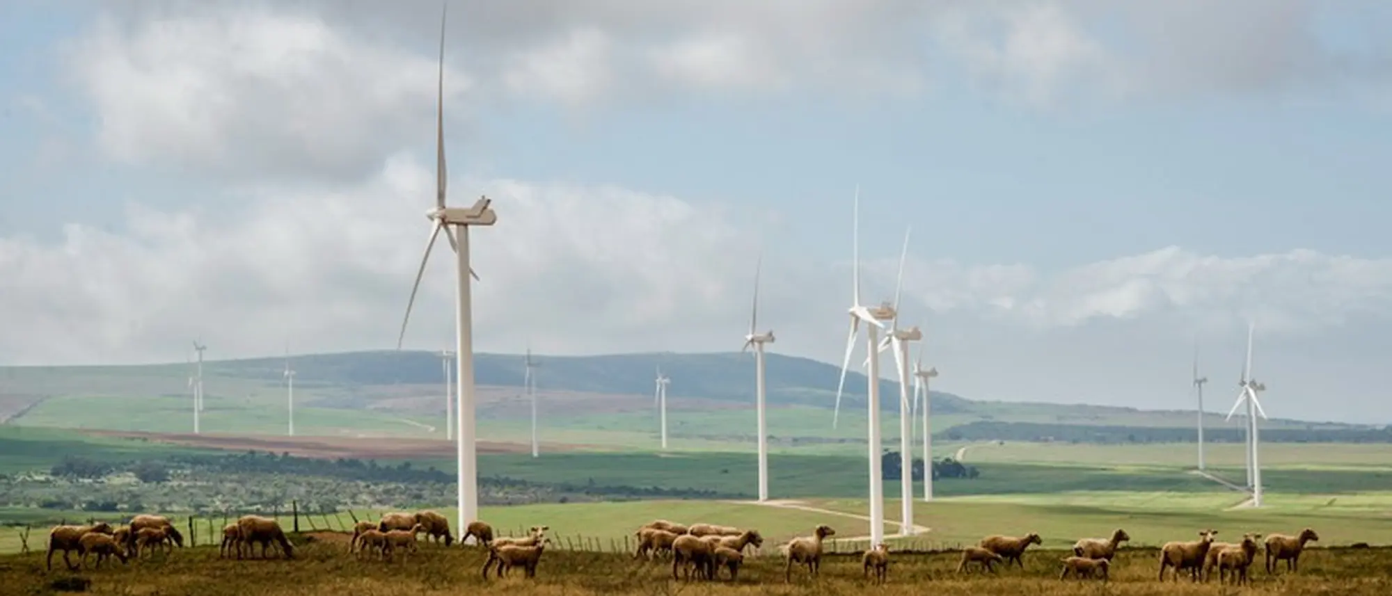 Image Title Image Title