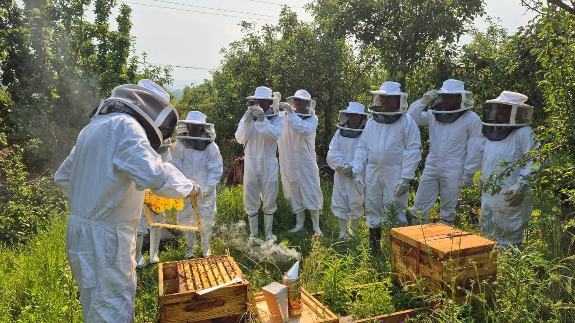 Image Title Image Title