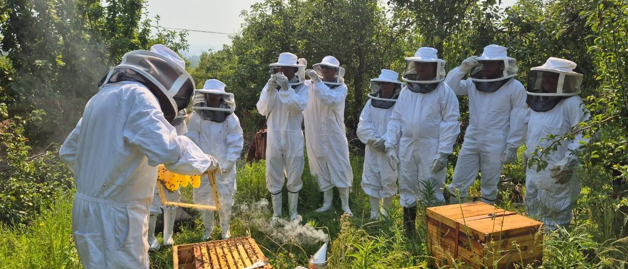 Image Title Image Title