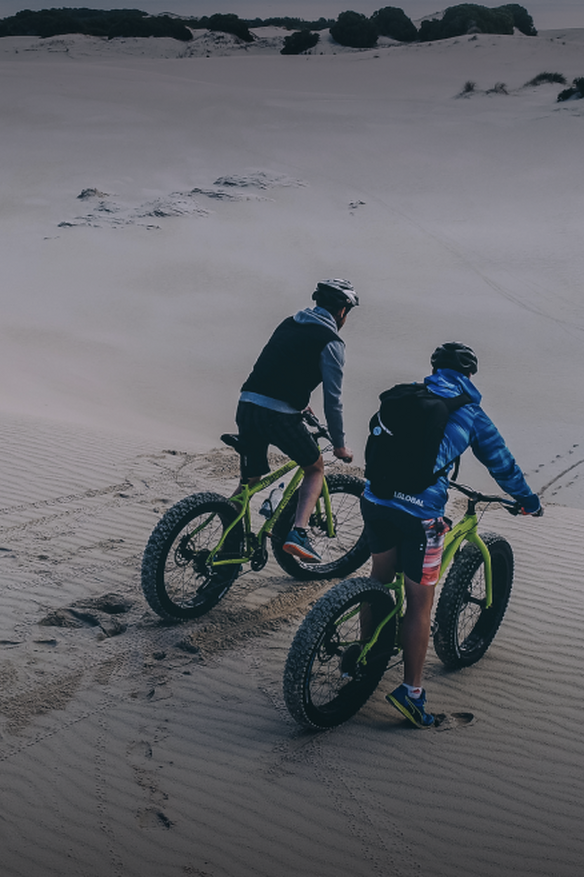 Image Title Image Title