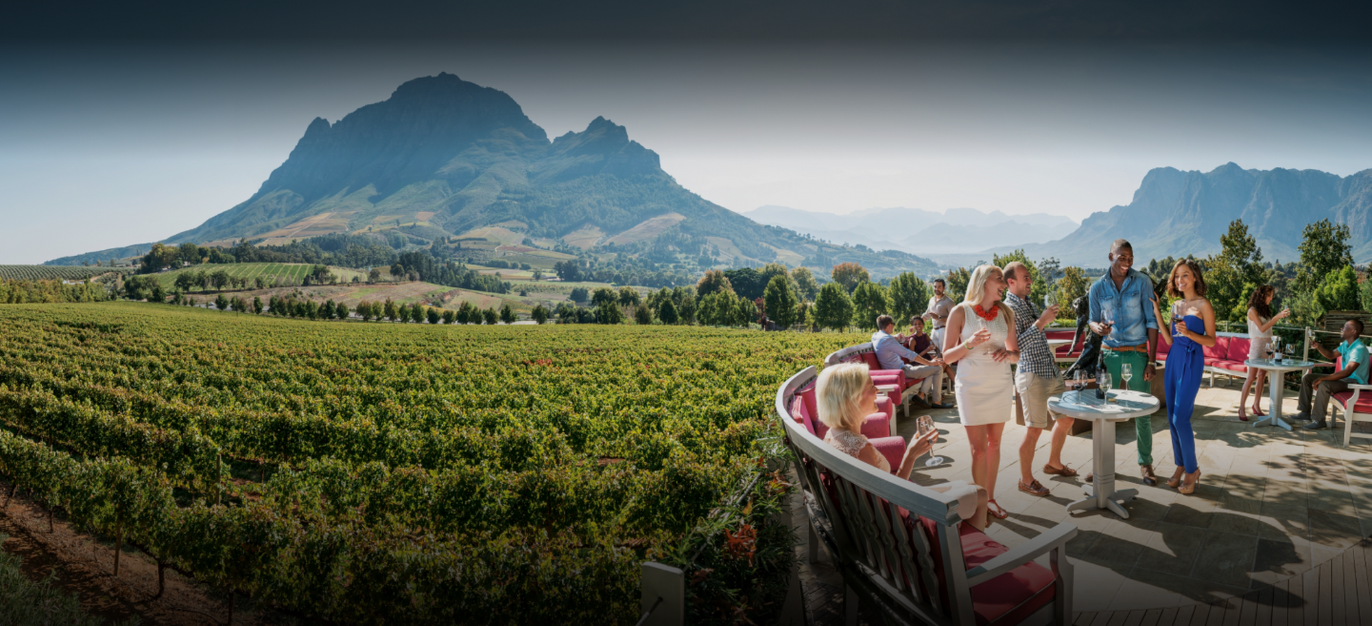 Header wine Header wine