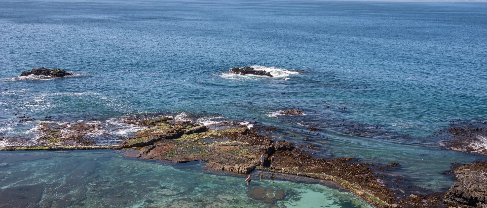 Image Title Image Title