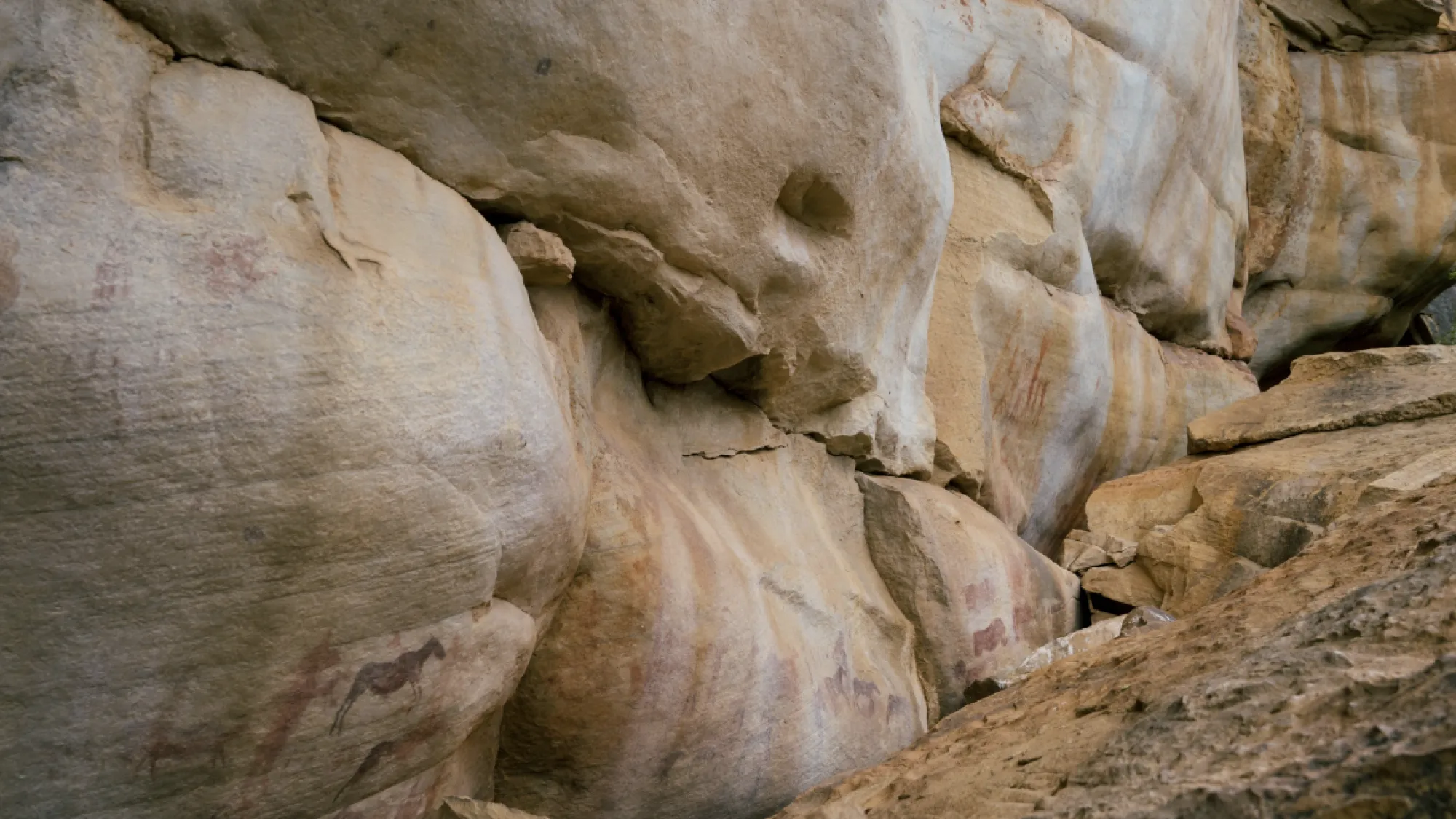 Image Title Image Title