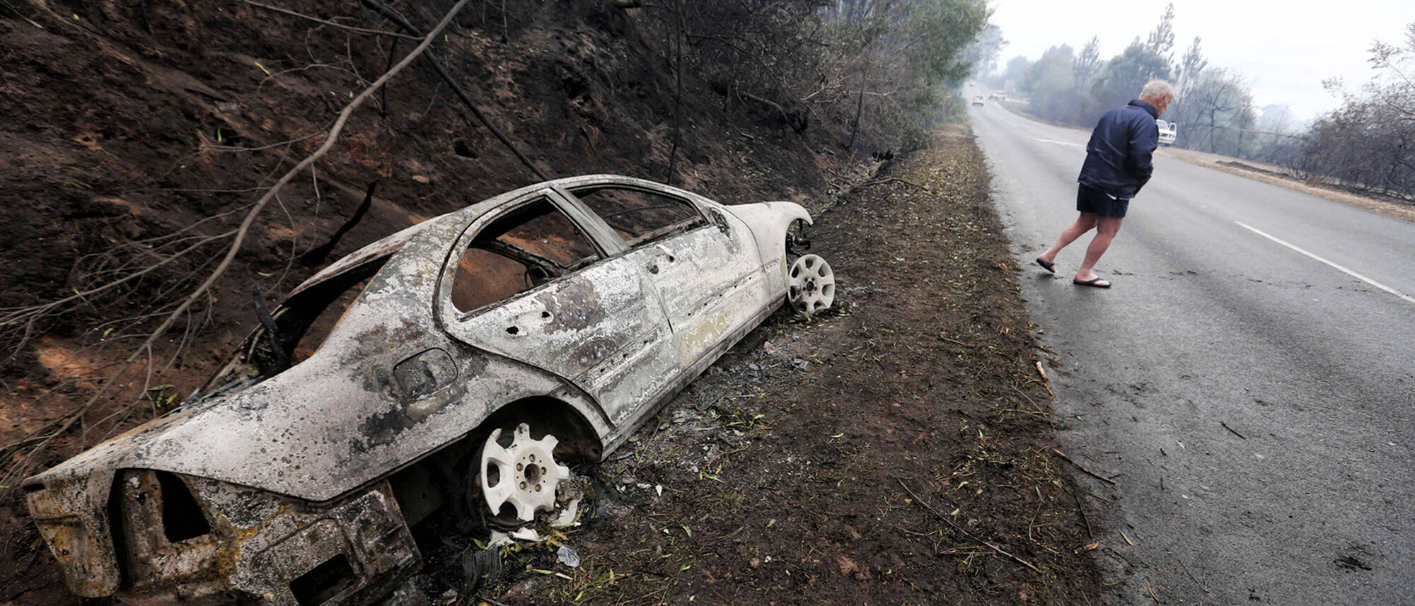 Image Title Image Title