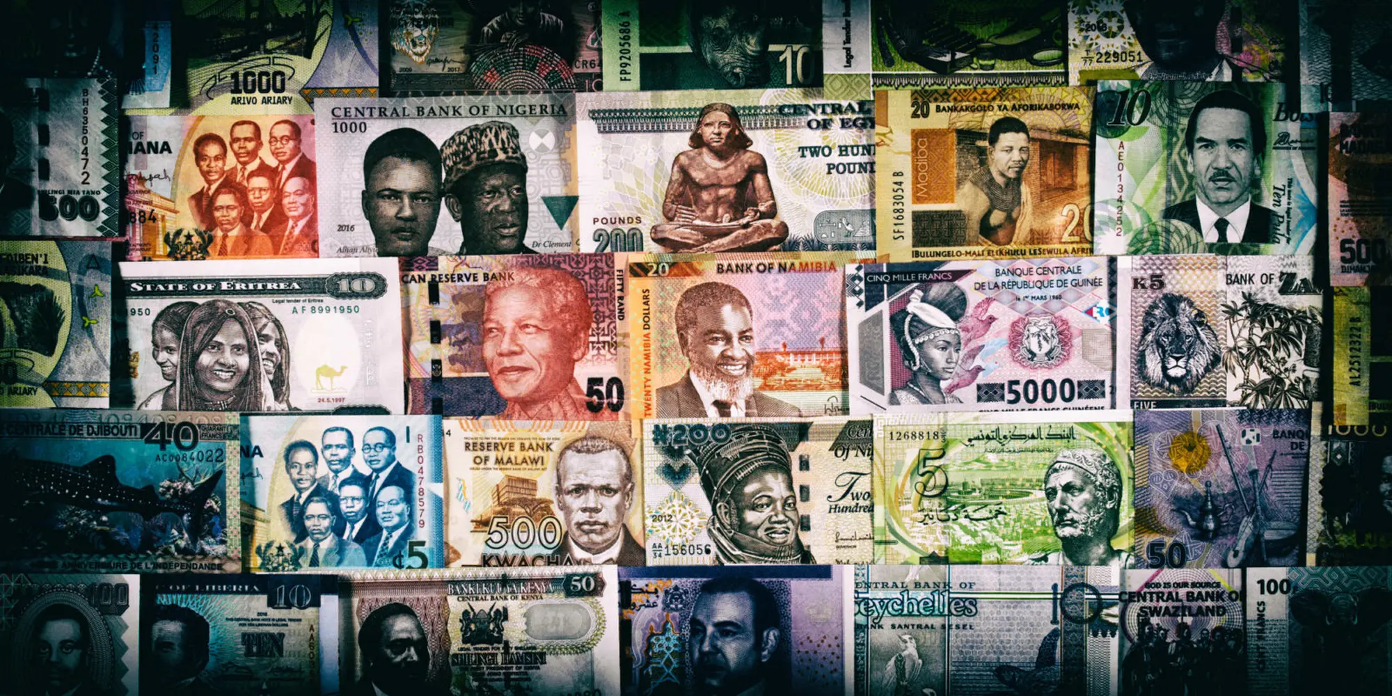 Diole trade free copy 1600x800 Diole trade free copy 1600x800