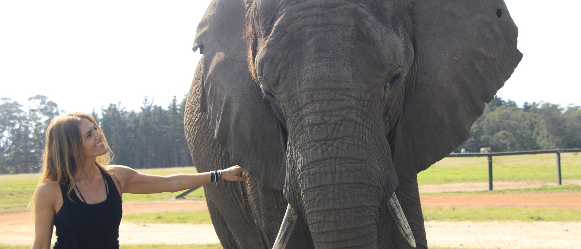 Image Title Image Title