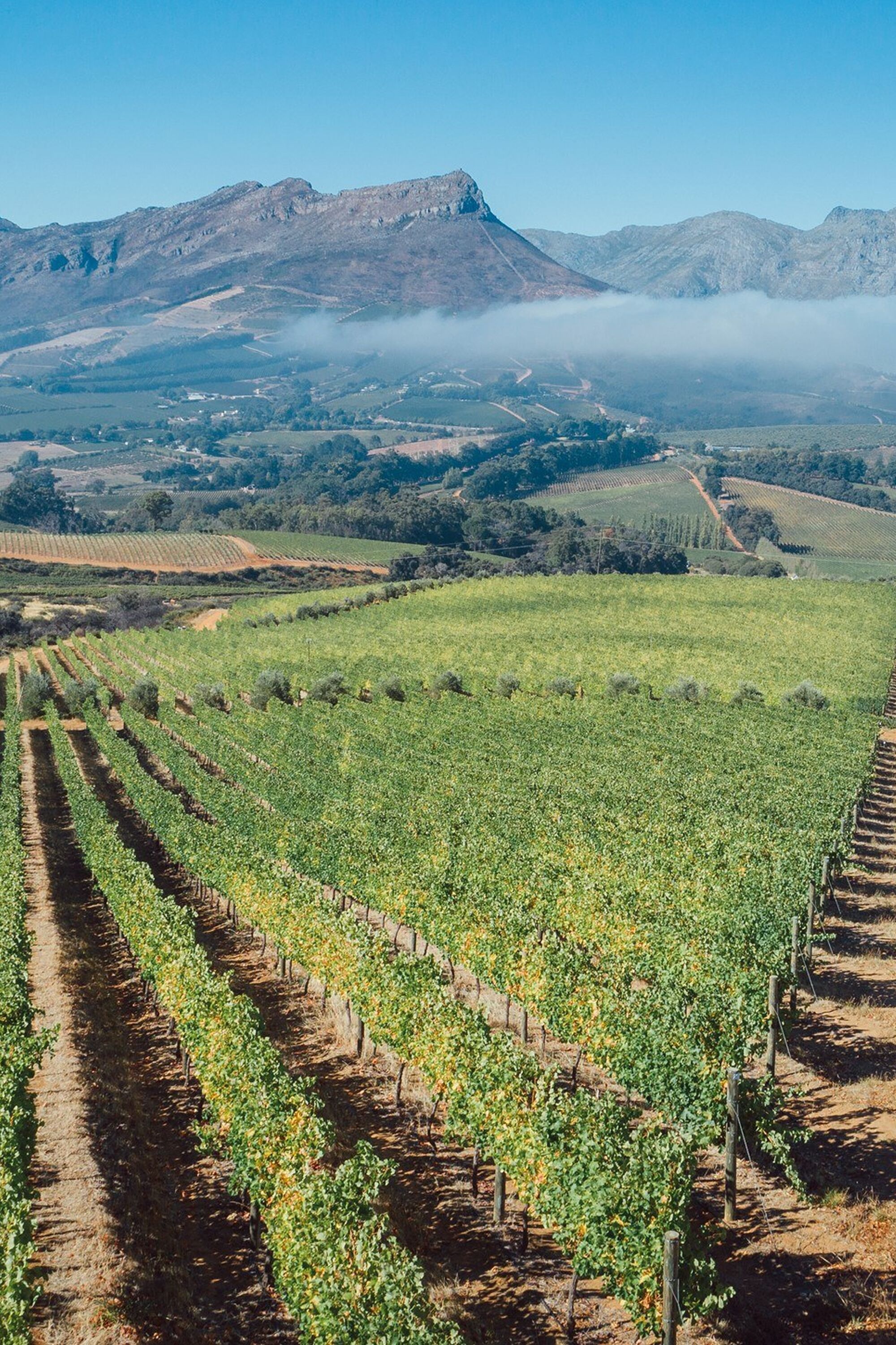 Image Title Image Title