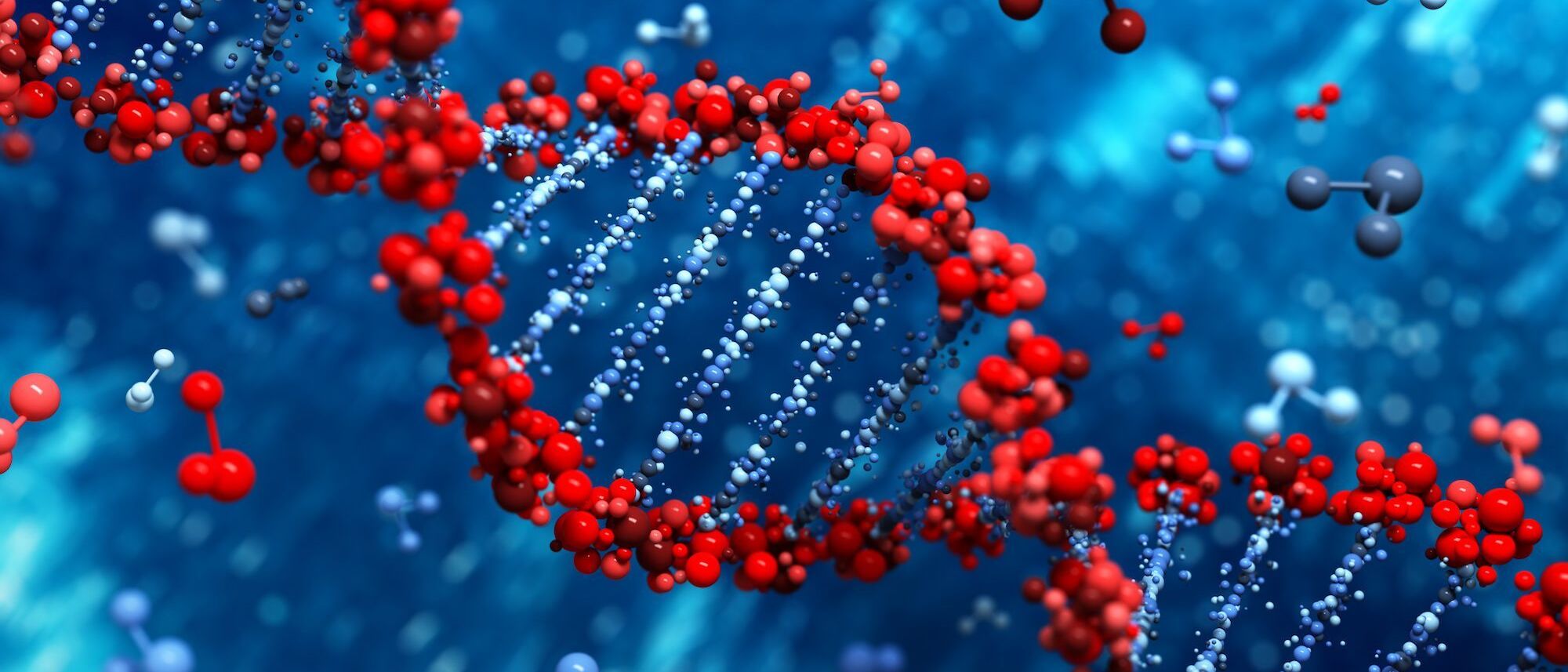 Image Title Image Title