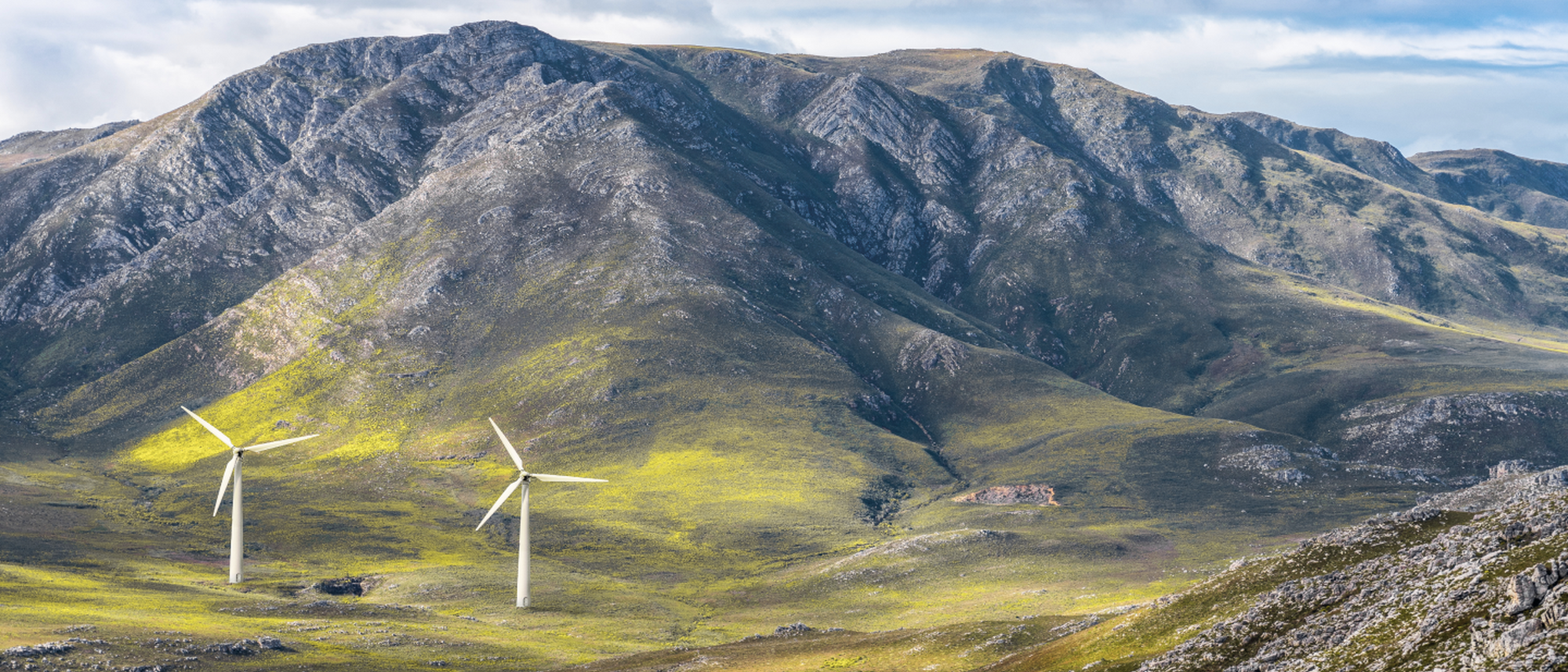 Image Title Image Title