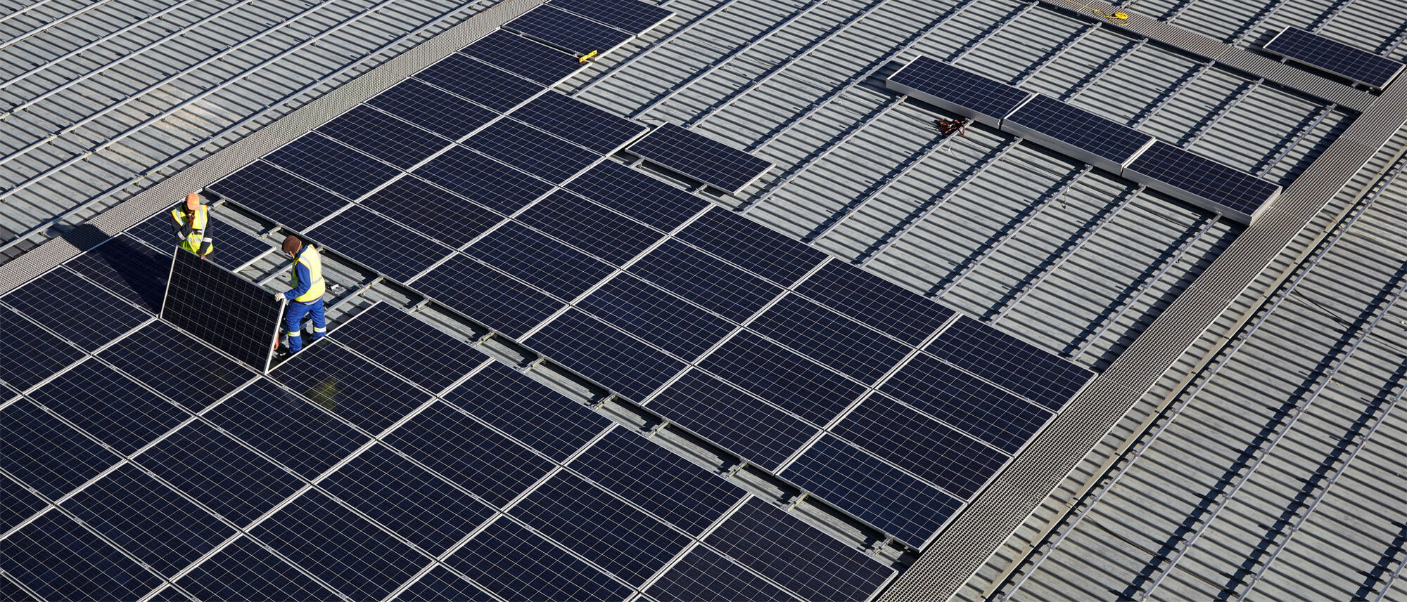 Image Title Image Title