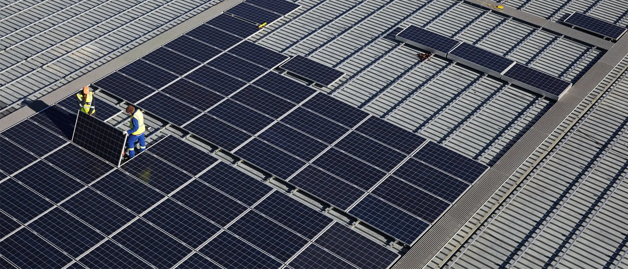 Image Title Image Title