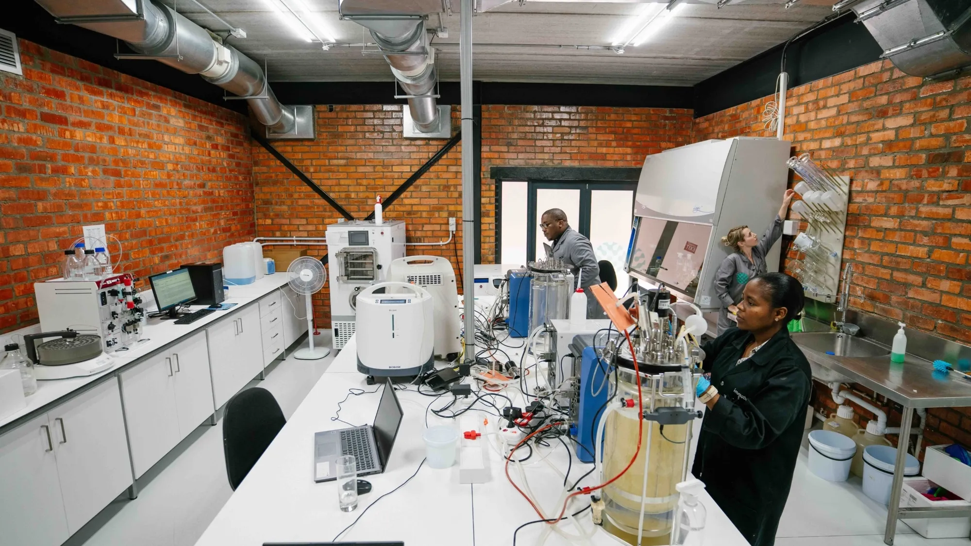 Image Title Image Title