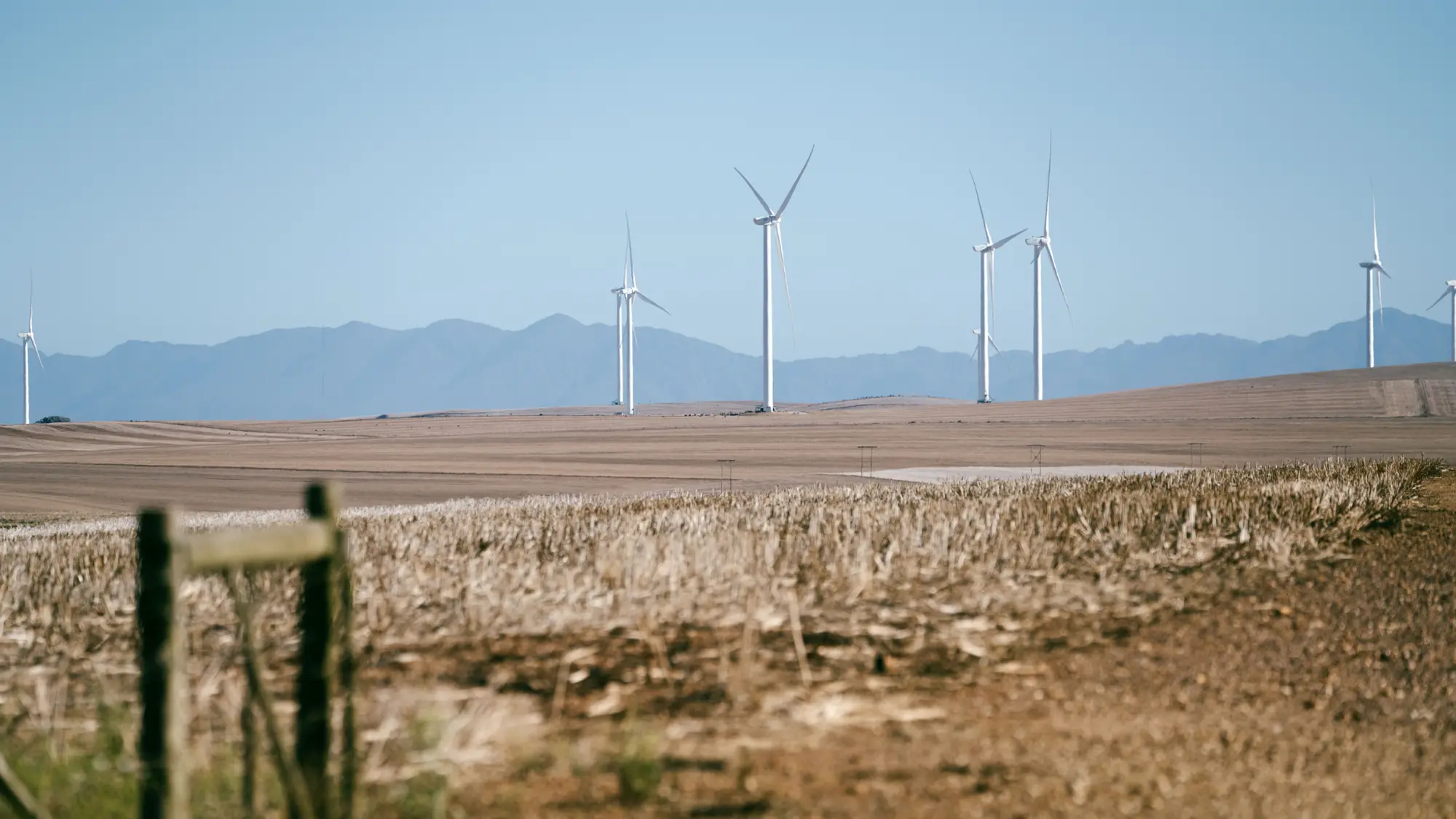 Image Title Image Title