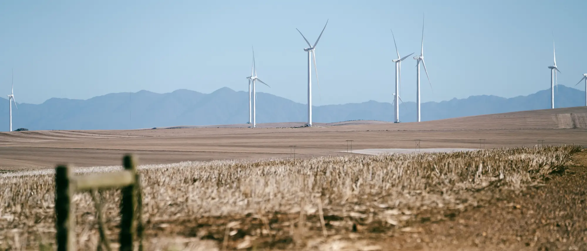 Image Title Image Title