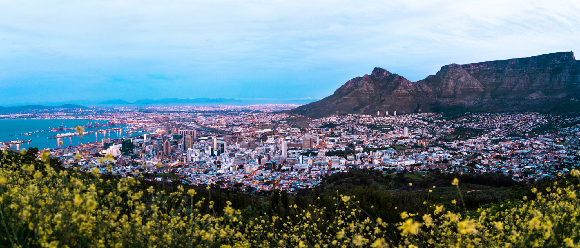 Image Title Image Title