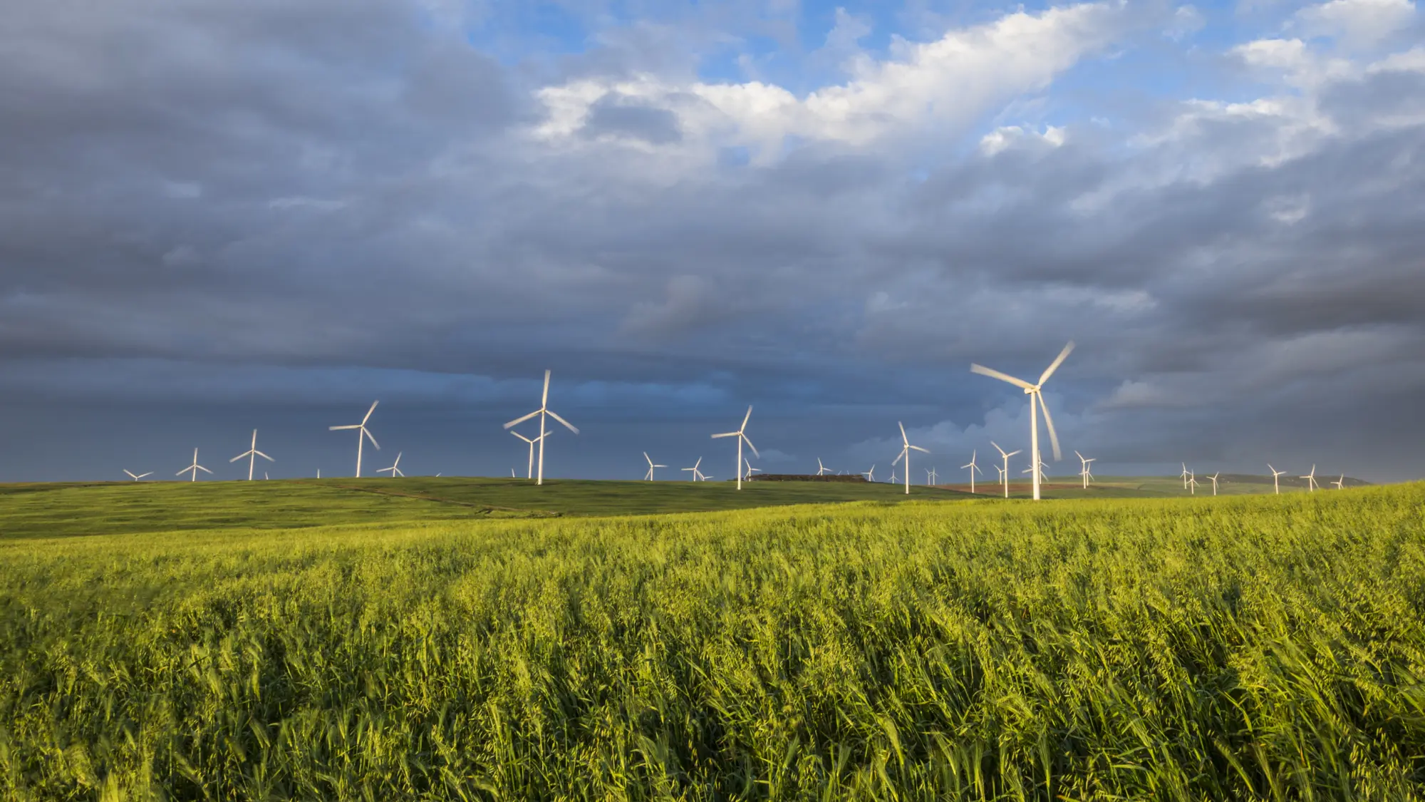 Image Title Image Title