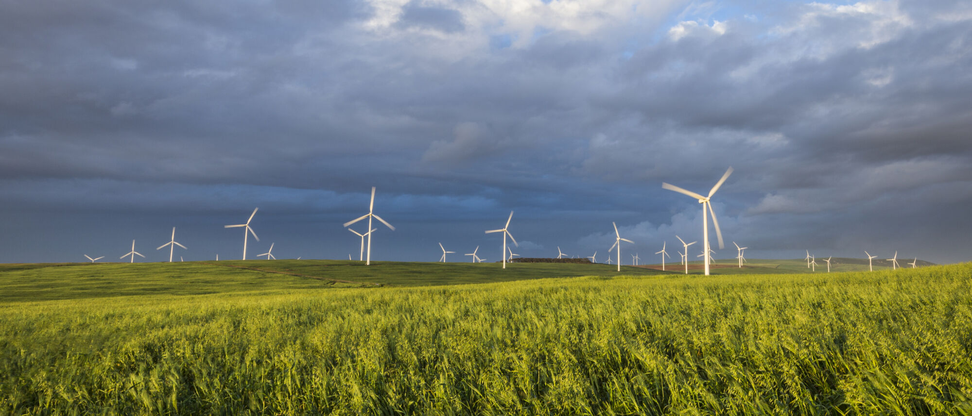 Image Title Image Title