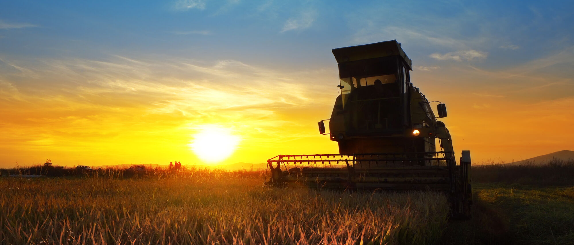 Image Title Image Title