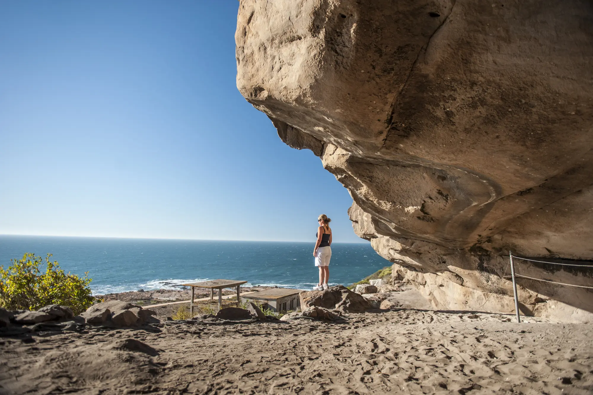 J Fox Surf Safari0071 J Fox Surf Safari0071