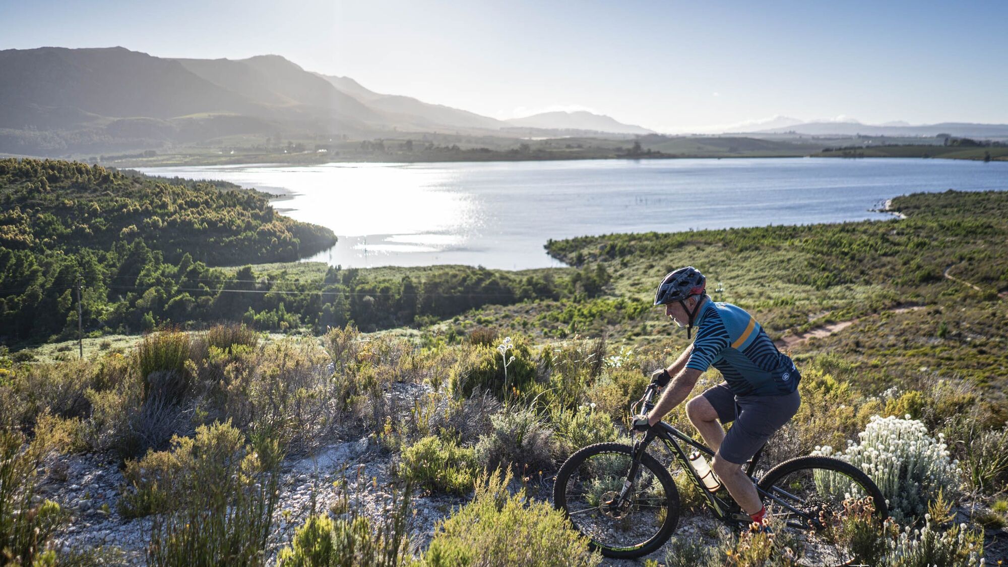 Image Title Image Title