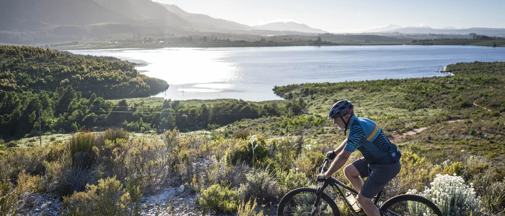 Image Title Image Title