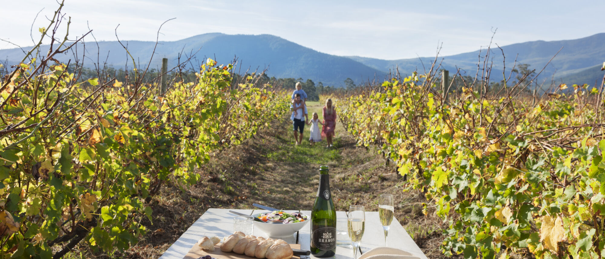 Janet Middleton Plett Tourism Gastronomy Winelands Janet Middleton Plett Tourism Gastronomy Winelands