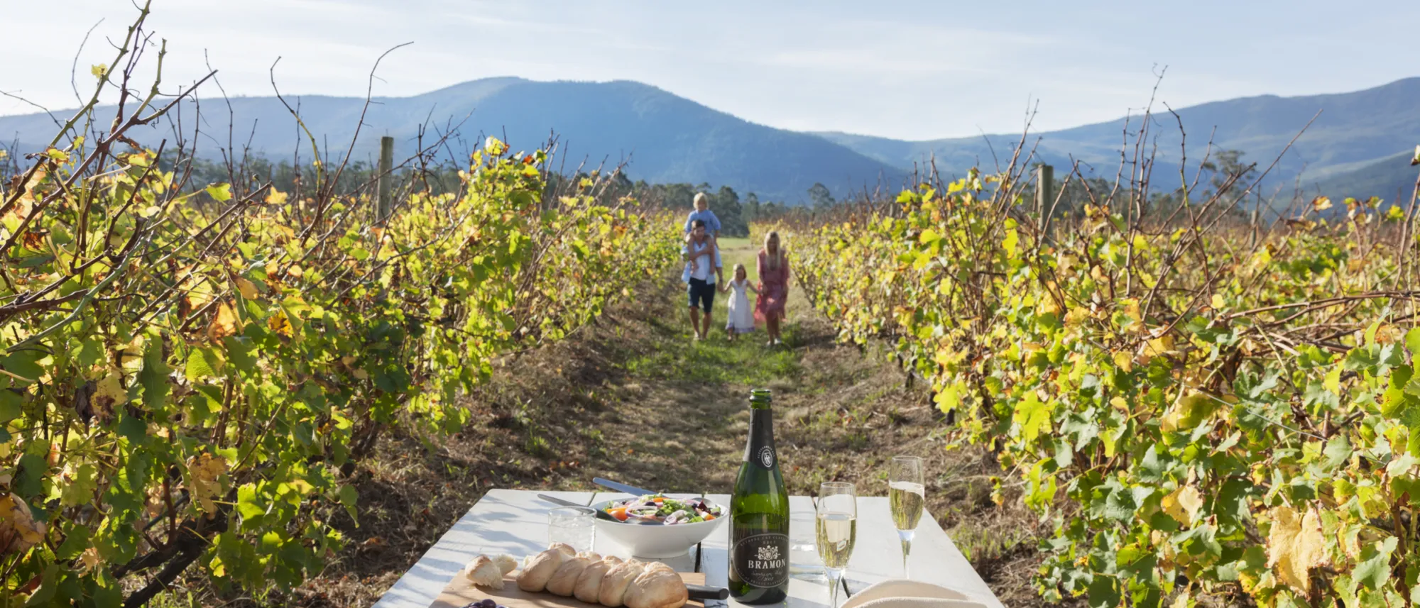 Janet Middleton Plett Tourism Gastronomy Winelands Janet Middleton Plett Tourism Gastronomy Winelands